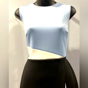 Calvin Klein Sleeveless Color Block Sheath Dress